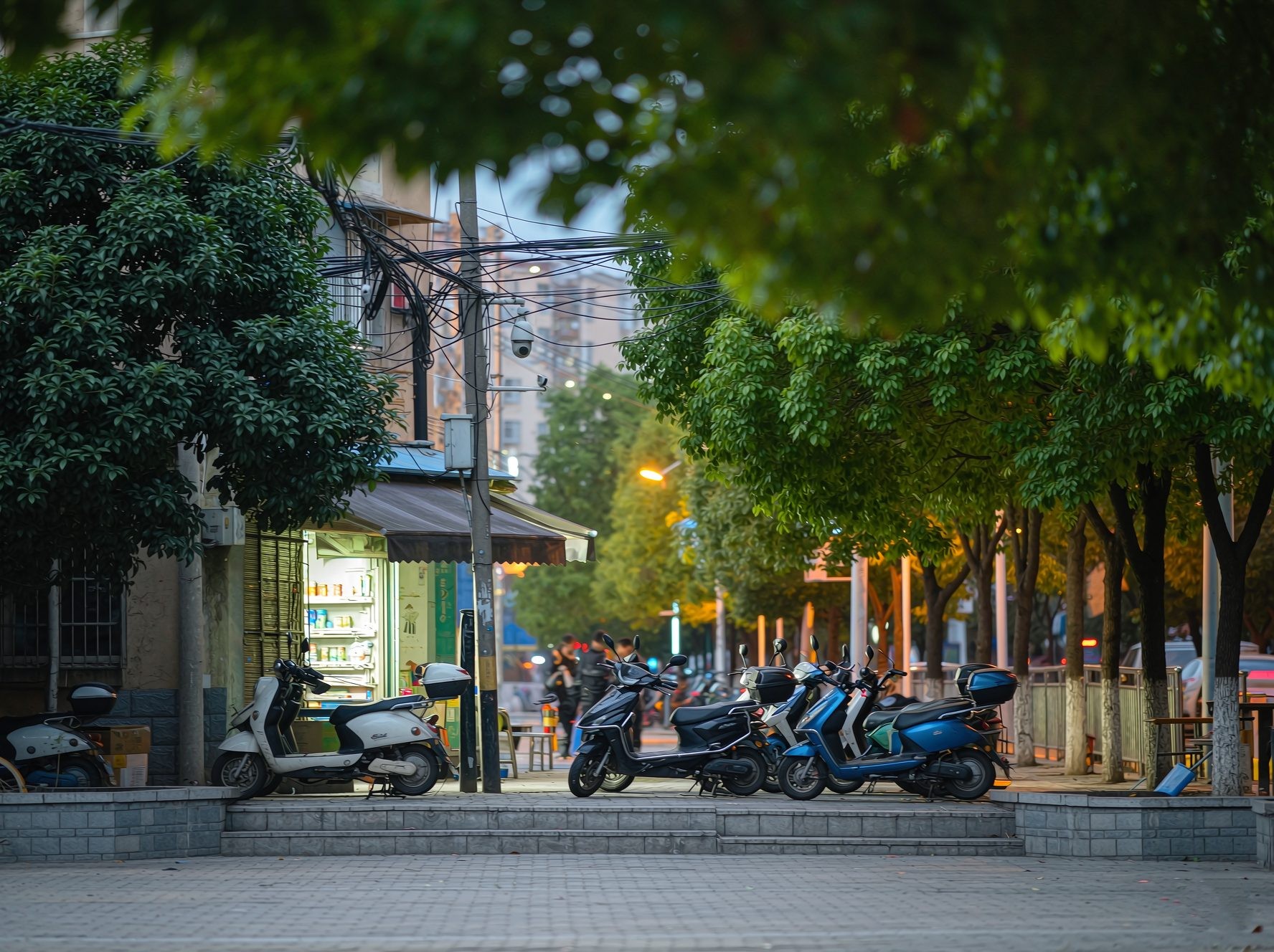 傍晚的社区街道小店与行道树
